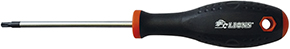 CACCIAVITI LIONS 118G PER VITI TORX FORATE        
