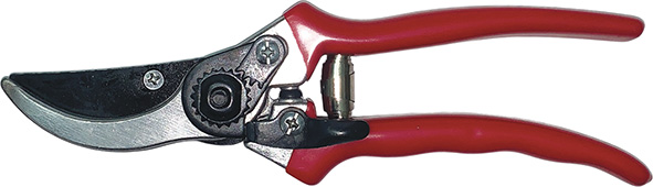 FORBICI VIGNA PROFESSIONALI LIONS 616S            