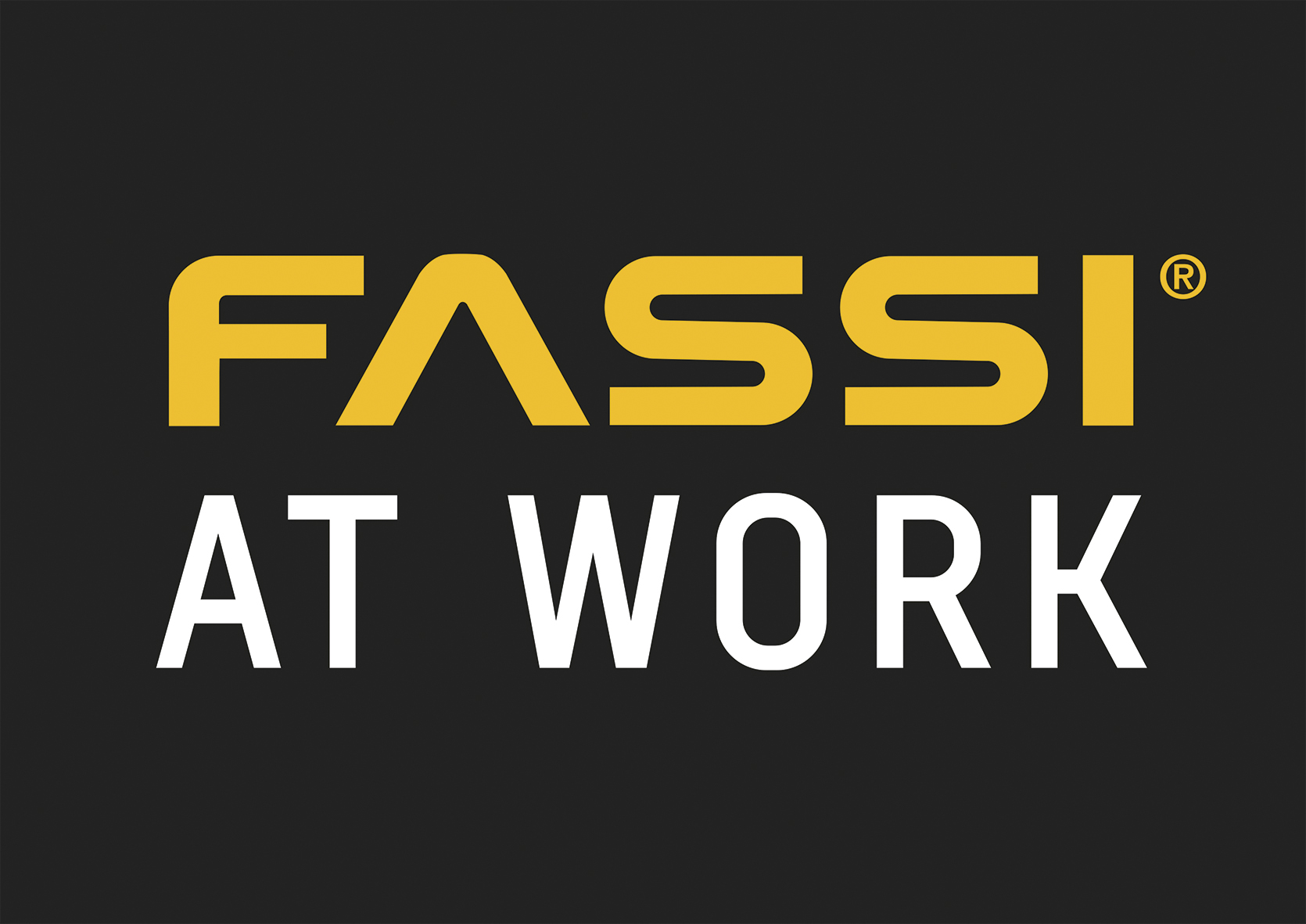 FASSI AT WORK
